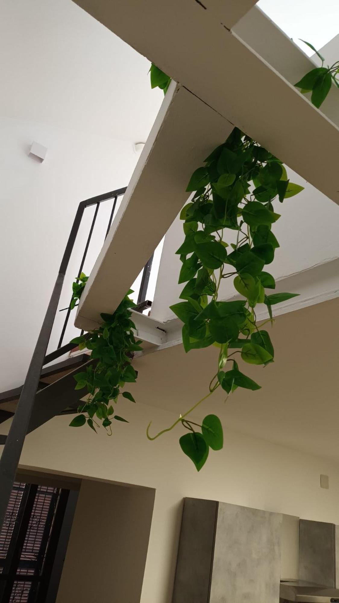 Casa N 1 Con Parcheggio Privato E Colonnina Ricarica Lägenhet Livorno Exteriör bild